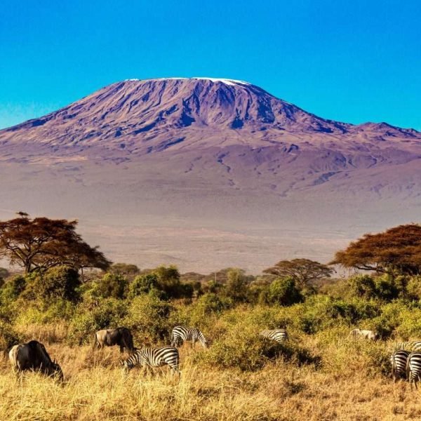 Amboseli National Park Mount Kilimnajaro scaled