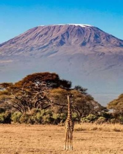 Amboseli National Park Mount Kilimnajaro2 scaled