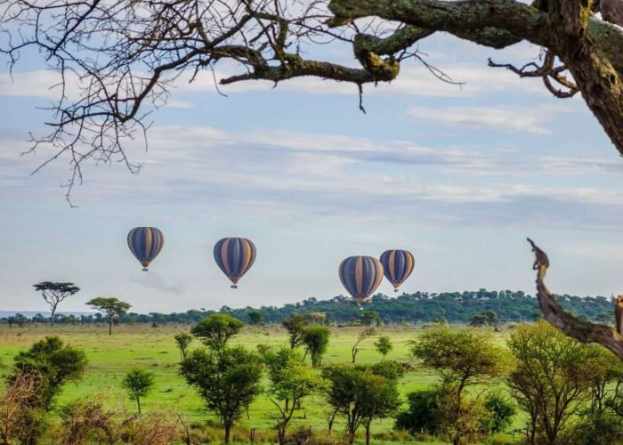 Angata Camp Serengeti National Park Tanzania Book best Kenya safaris Tanzania safaris and Africa safari holidays with Aether safari collection 42 scaled
