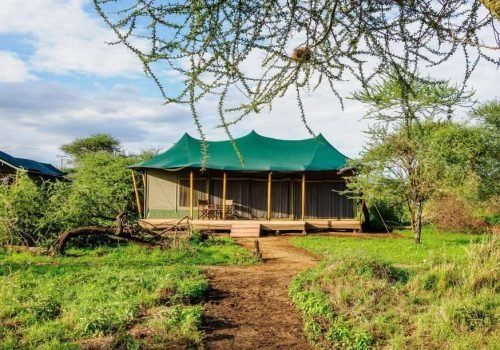 Angata Camp Serengeti National Park Tanzania Book best Kenya safaris Tanzania safaris and Africa safari holidays with Aether safari collection 52 scaled