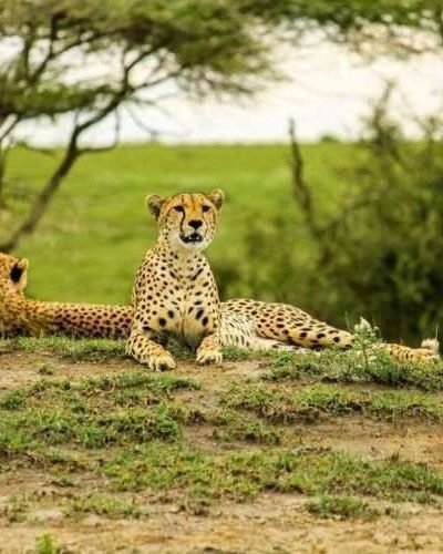 Arusha National Park Natural World Kenya Safaris 2