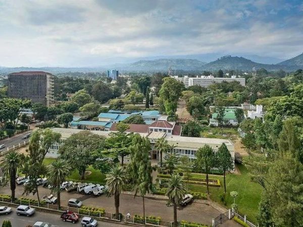 Arusha Town safari tours
