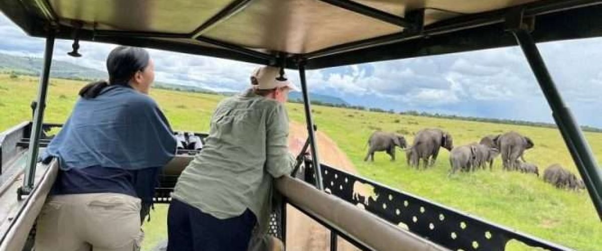 Best safari tours in Kenya and Tanzania Aether safari collection
