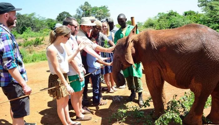 David sheldrick elephant orpahange Nairobi scaled