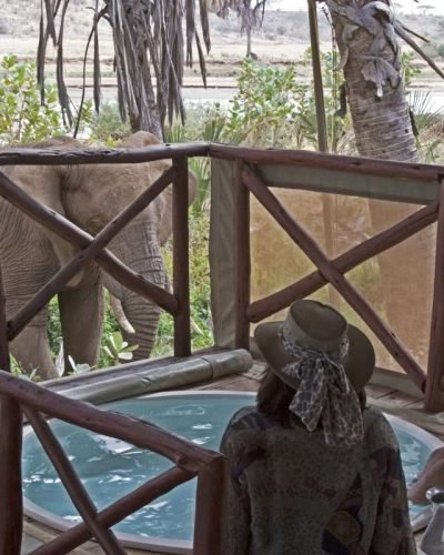 Elephant Bedroom Camp Samburu 20 scaled