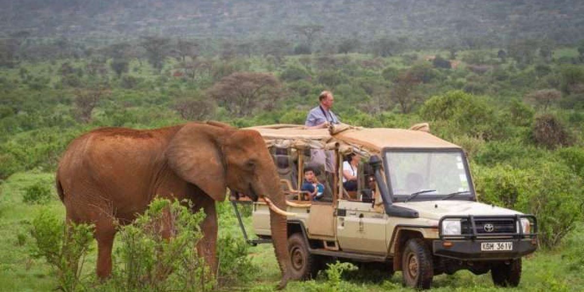 Elephant Bedroom Camp Samburu 45