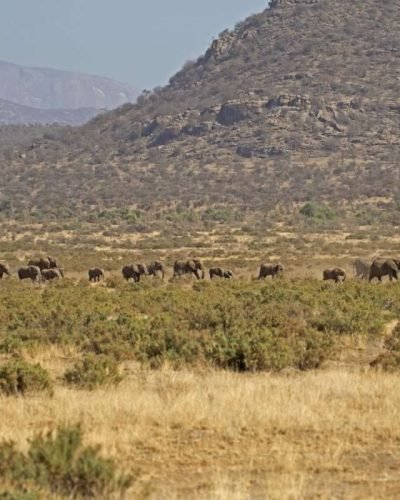 Elephant Bedroom Camp Samburu 51 scaled