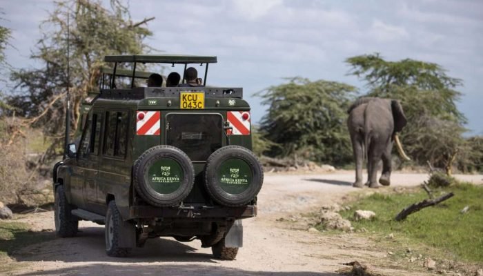 Elephants at Amboseli National Park in Kenya. Book best East Africa safaris in Kenya and Tanzania with Aether safari collection and explore the best wildlife parks like Amboseli, Lake Nakuru, Masai Mara, Ol Pejeta, Tsavo, Serengeti, Ngorongoro, Lake Manyara and Tarangire