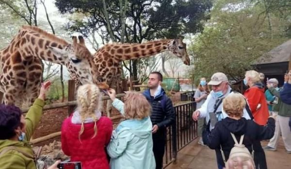 Giraffe Centre Nairobi Things to do in Nairobi Kenya 5 scaled Giraffe Centre Nairobi Things to do in Nairobi Kenya 5 scaled