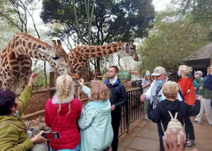 Giraffe Centre Nairobi Things to do in Nairobi Kenya 5 scaled Giraffe Centre Nairobi Things to do in Nairobi Kenya 5 scaled