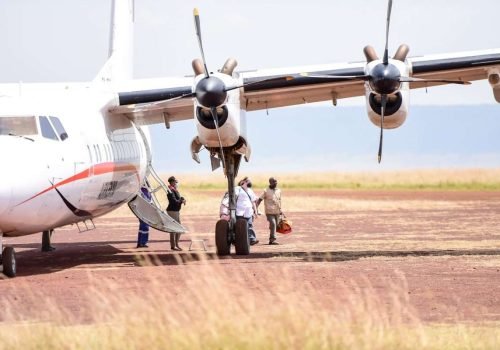Kenya flight safari tour tour packages from Nairobi, Mombasa, Diani, Malindi & Watamu