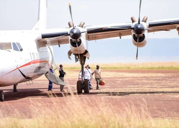 Kenya flight safari tour tour packages from Nairobi, Mombasa, Diani, Malindi & Watamu Kenya flight safari tour tour packages from Nairobi, Mombasa, Diani, Malindi & Watamu