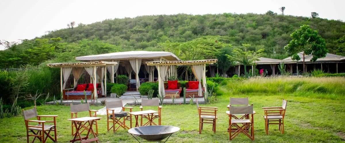 Kenya Family safaris Zebra Plains Mara Camp Masai Mara Aether safari collection Limited 2 scaled