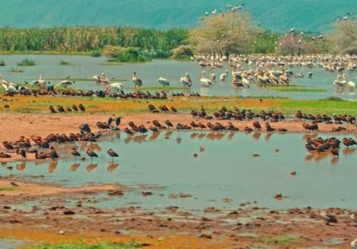 Lake Manyara National Park Tanzania luxury safaris Aether safari collection