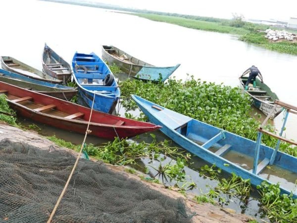 Lake Victoria Fishing tours and safaris scaled