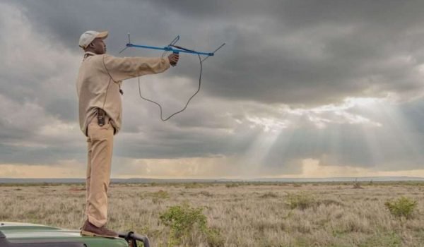 Lion tracking at Mugie Conservancy in Kenya Aether safari collection photo credits Governors Camps Lion tracking at Mugie Conservancy in Kenya Aether safari collection photo credits Governors Camps