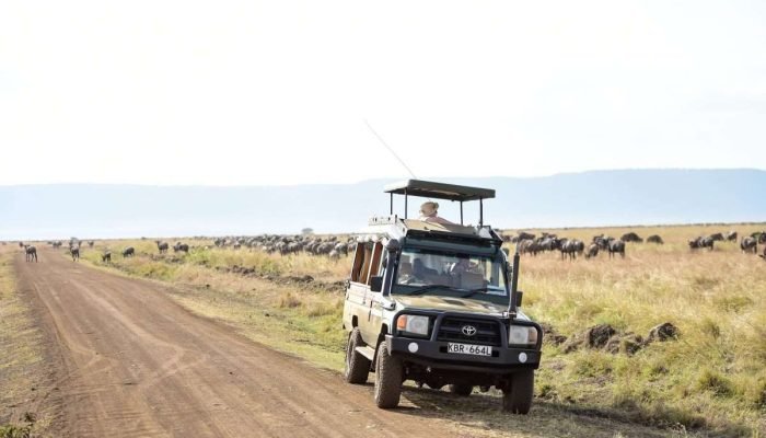 Masai Mara Kenya safaris Africa safari holidays Aether safari collection scaled
