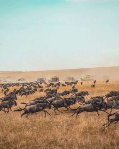 Masai Mara National Park Kenya safaris 3 scaled