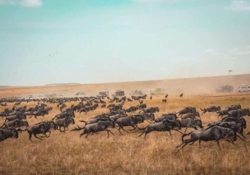 Masai Mara National Park Kenya safaris 3 scaled