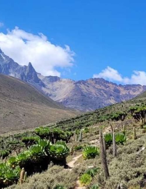 Mount Kenya climbing adventure tours by Aether safari collection - credits Glamping Kenya (11)