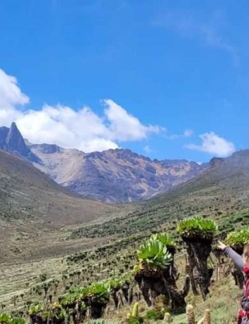 Mount Kenya climbing adventure tours by Aether safari collection - credits Glamping Kenya (15)