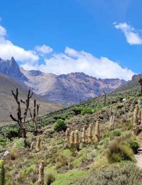 Mount Kenya climbing adventure tours by Aether safari collection - credits Glamping Kenya (16)