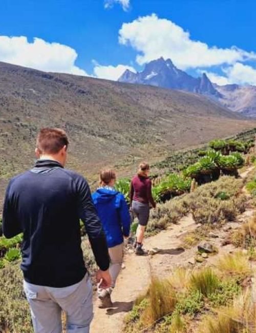 Mount Kenya climbing adventure tours by Aether safari collection - credits Glamping Kenya (19)