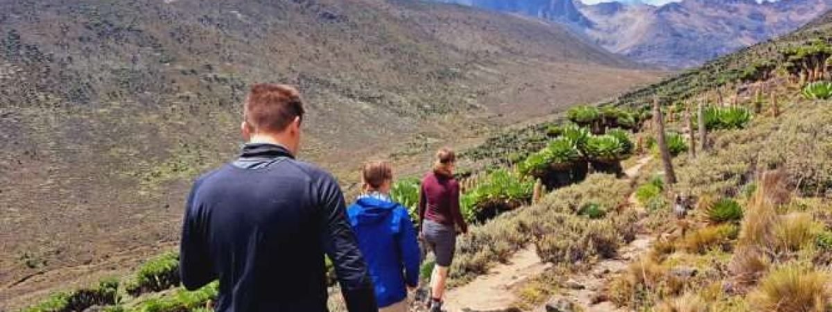 Mount Kenya climbing adventure tours by Aether safari collection - credits Glamping Kenya (19)