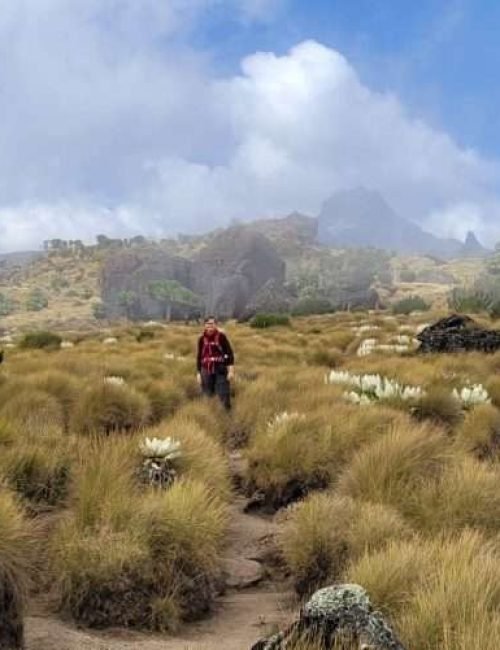 Mount Kenya climbing adventure tours by Aether safari collection - credits Glamping Kenya (7)