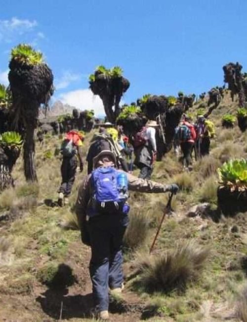 Mount Kenya2 scaled