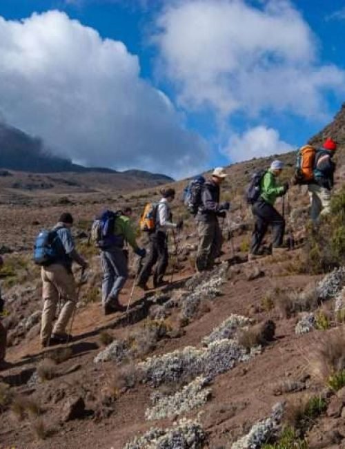 Mount Kilimanjaro scaled