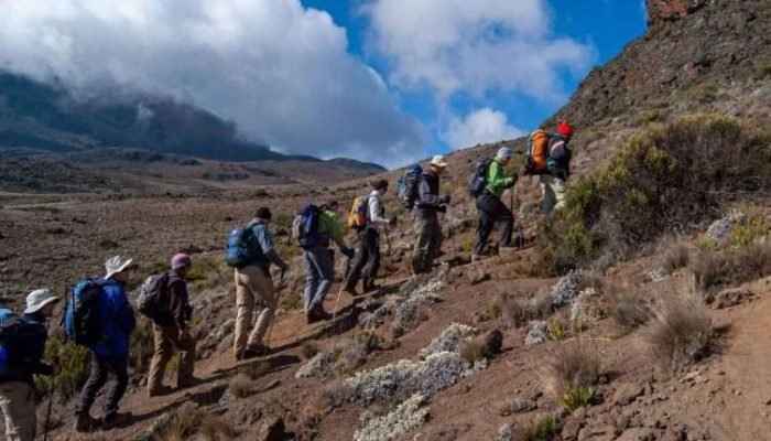 Mount Kilimanjaro scaled