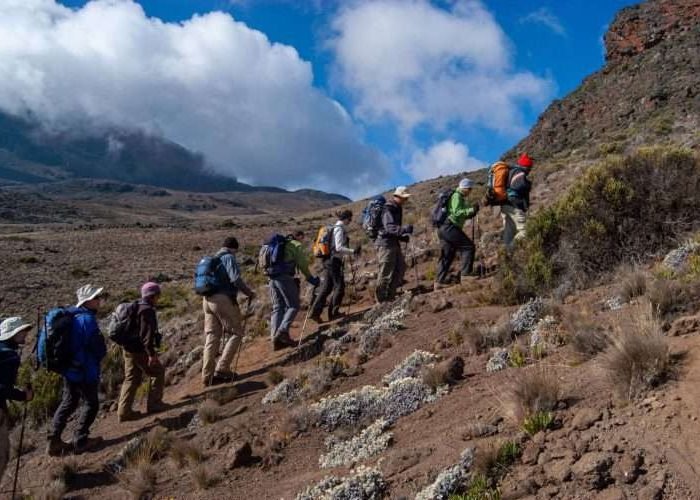 Mount Kilimanjaro scaled Mount Kilimanjaro scaled