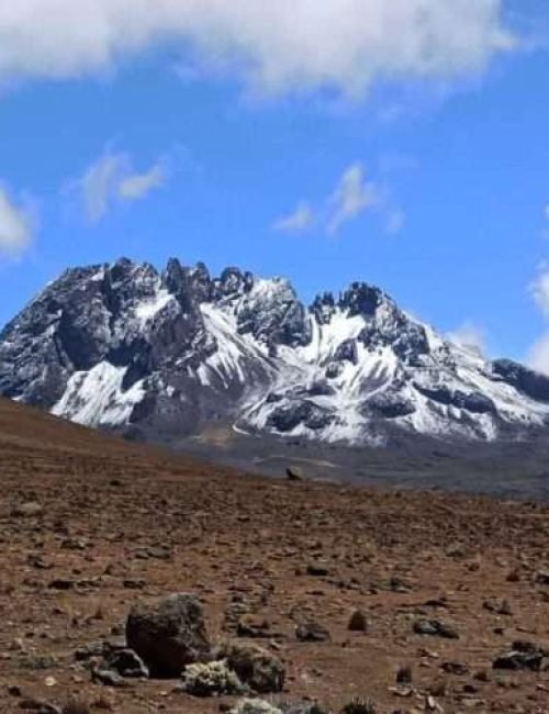 Mount kilimanjaro desert