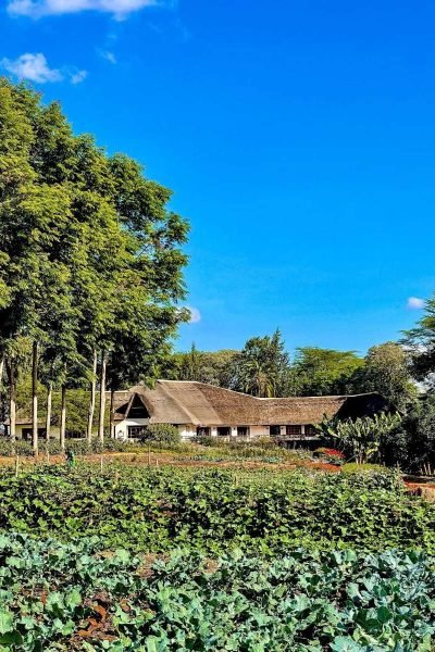 Ngorongoro Farm House Ngorongoro Conservation Area Tanzania Book best Kenya safaris Tanzania safaris and Africa safari holidays with Aether safari collection 28 scaled