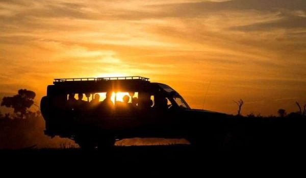 Night game drive Aether safari collection scaled Night game drive Aether safari collection scaled