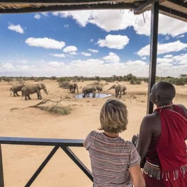Porini Amboseli Camp Selenkay Conservancy Amboseli National Park