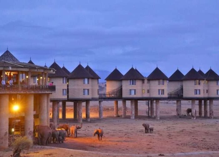 Saltlick Safari Lodge Nairobi to Diani beach safaris Aether safari collection Saltlick Safari Lodge Nairobi to Diani beach safaris Aether safari collection