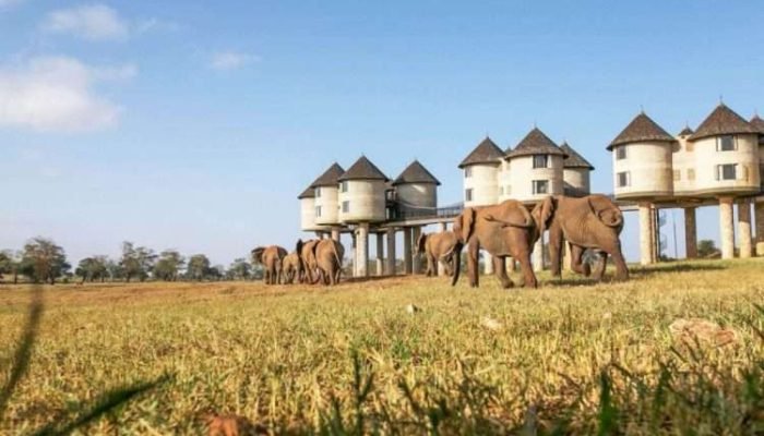 Saltlick Safari Lodge Taita Hills Wildlife Sanctuary scaled Saltlick Safari Lodge Taita Hills Wildlife Sanctuary scaled