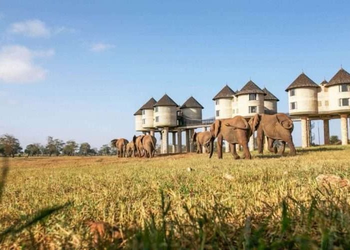 Saltlick Safari Lodge Taita Hills Wildlife Sanctuary scaled Saltlick Safari Lodge Taita Hills Wildlife Sanctuary scaled