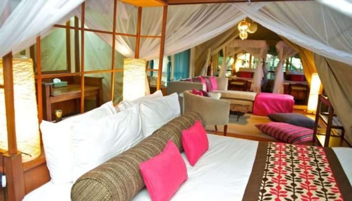 Samburu Intrepids Tented Camp Samburu National Reserve Aether safari collection Limited 1 scaled Samburu Intrepids Tented Camp Samburu National Reserve Aether safari collection Limited 1 scaled