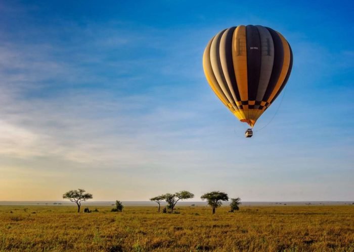 Serengeti National Park Tanzania Book best Kenya safaris Tanzania safaris and Africa safari holidays with Aether safari collection 206 scaled