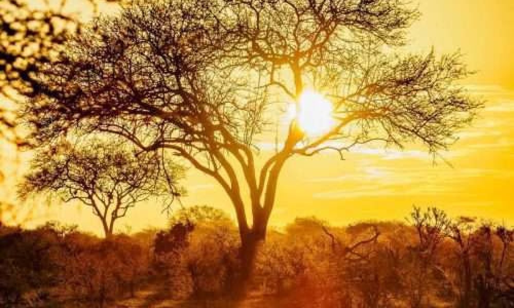 Sunset at Tsavo East National Park Kenya scaled