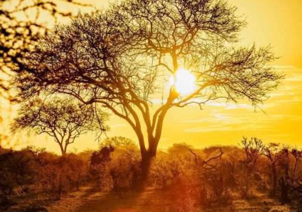Sunset at Tsavo East National Park Kenya scaled