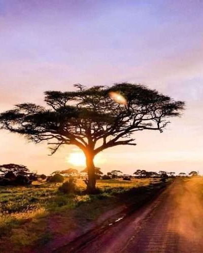 Sunset at amboseli national Park Kenya1
