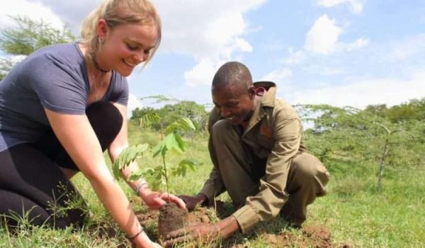 Tree planting on African safari Basecamp Masai Mara Aether safari collection scaled Tree planting on African safari Basecamp Masai Mara Aether safari collection scaled
