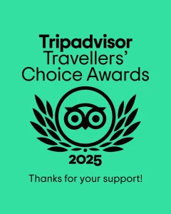 TripAdvisor travellers choice award 2025 Aether safari collection - Best African safari tour operator in Kenya and Tanzania