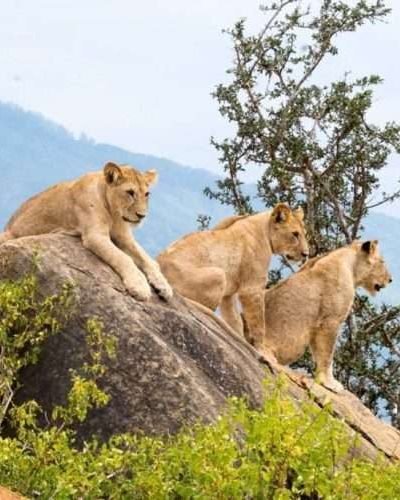 Tsavo East National Park