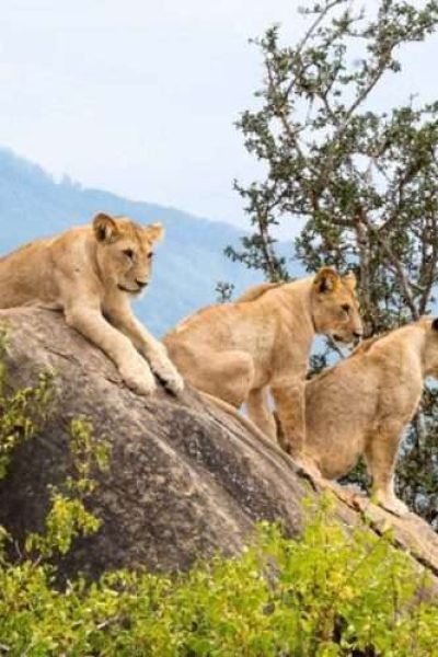 Tsavo East National Park