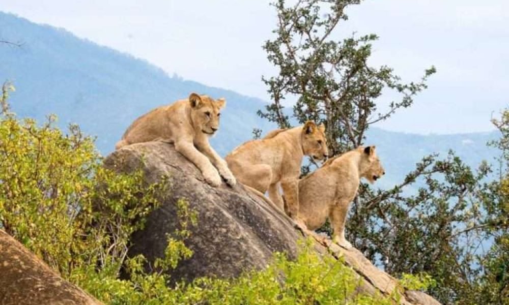 Tsavo East National Park
